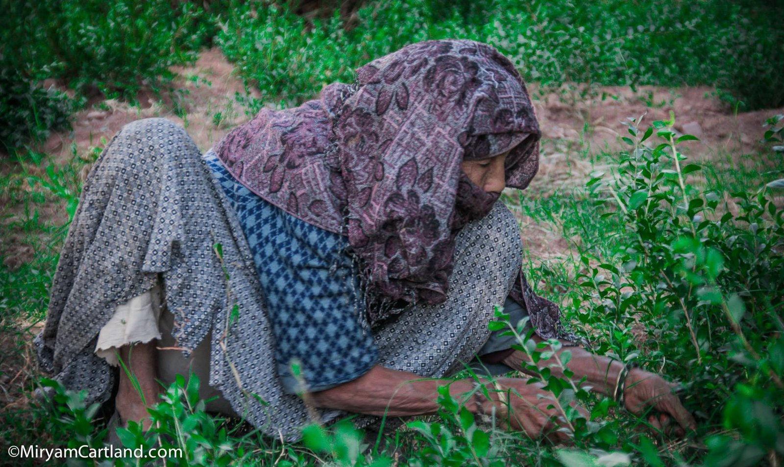 Portrait Femme Berbère — photographie artistique par Miryam Cartland, Casablanca Maroc